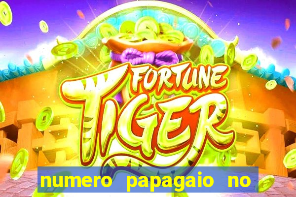 numero papagaio no jogo do bicho
