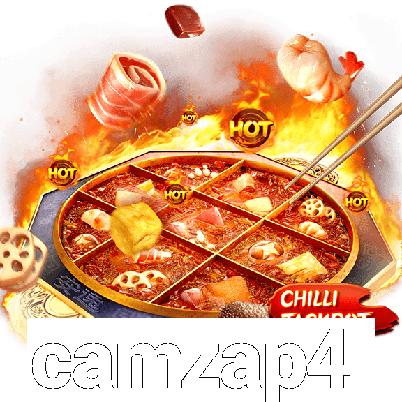 camzap4