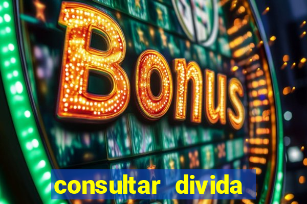 consultar divida casas bahia