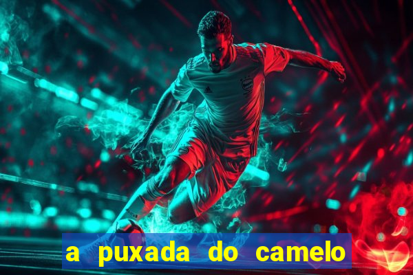 a puxada do camelo no jogo do bicho