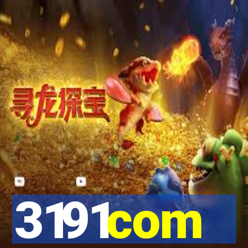3191com
