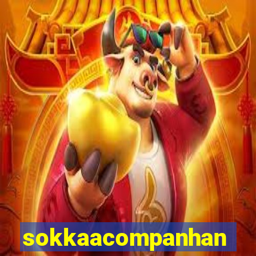 sokkaacompanhantes