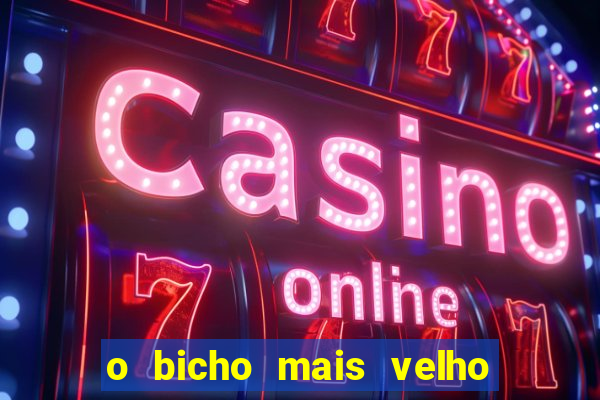 o bicho mais velho da loteria dos sonhos