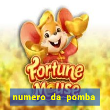 numero da pomba jogo do bicho