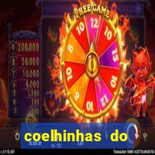 coelhinhas do brasil jp
