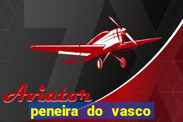 peneira do vasco da gama