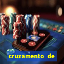 cruzamento de cavalo com jumenta globo rural