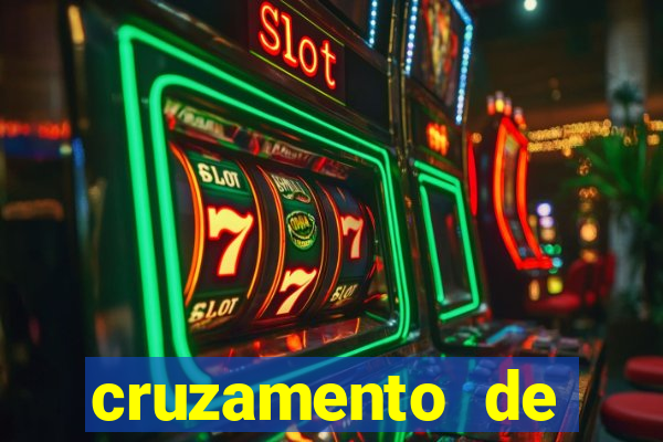 cruzamento de cavalo com jumenta globo rural