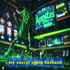 my secret agent husband