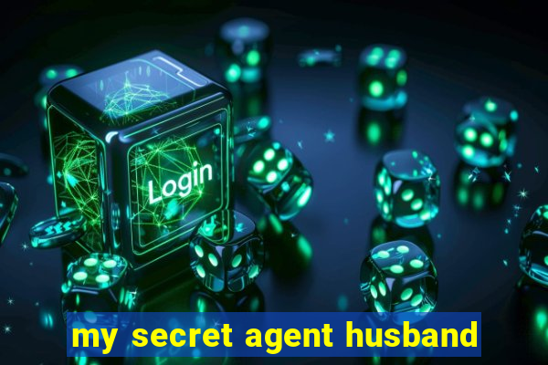 my secret agent husband