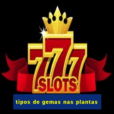 tipos de gemas nas plantas