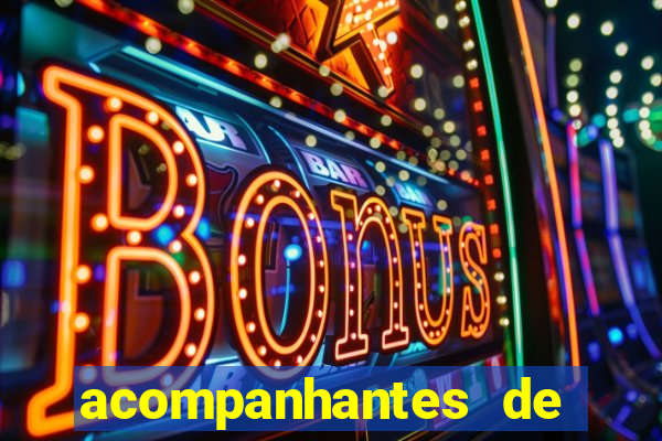 acompanhantes de luxo sc
