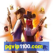pgvip1100.com