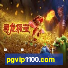 pgvip1100.com
