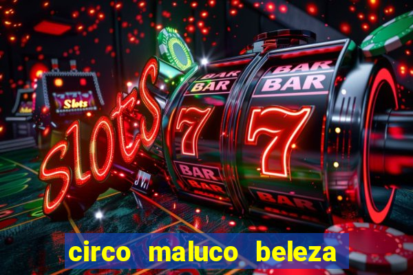 circo maluco beleza recife circo maluco