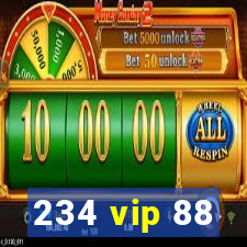 234 vip 88