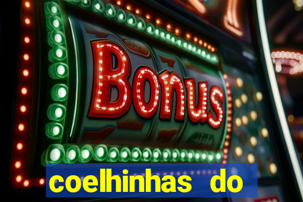 coelhinhas do brasil recife