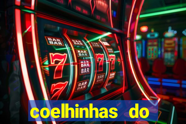 coelhinhas do brasil recife