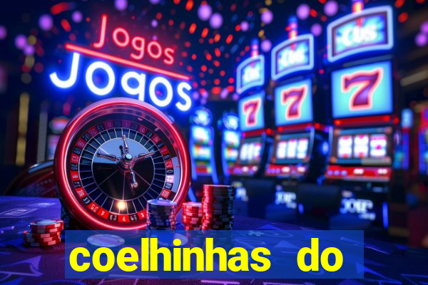 coelhinhas do brasil recife