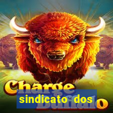sindicato dos vigilantes bauru