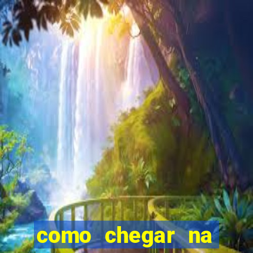 como chegar na avenida cruzeiro do sul, 2463