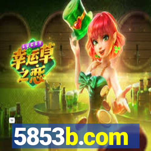 5853b.com