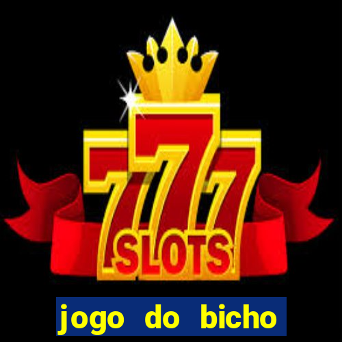 jogo do bicho crash bingo