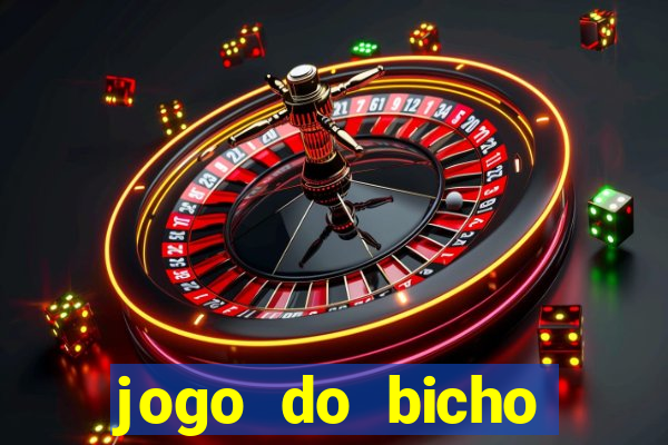 jogo do bicho crash bingo