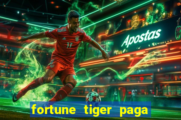 fortune tiger paga de madrugada