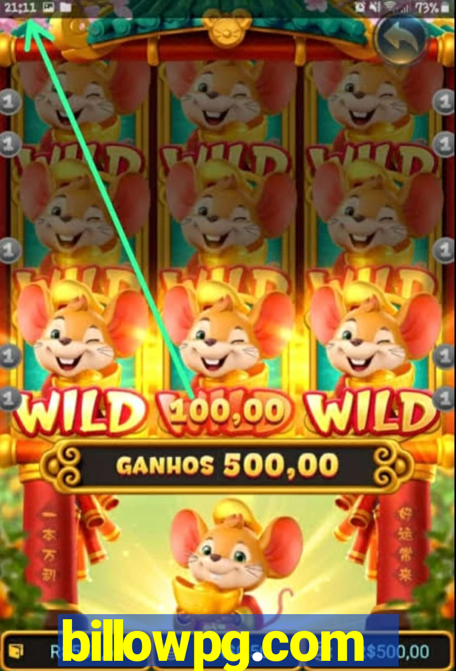 billowpg.com