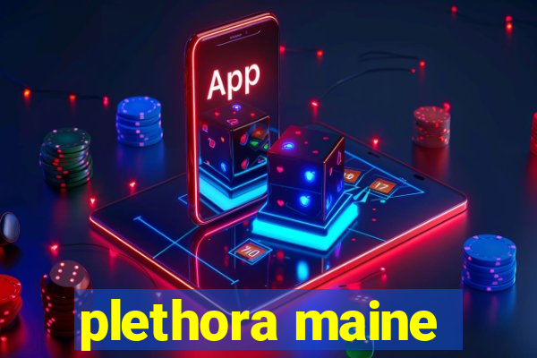 plethora maine