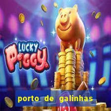 porto de galinhas ou pipa