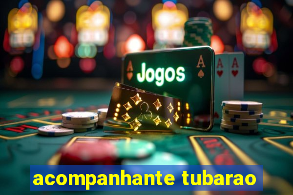 acompanhante tubarao