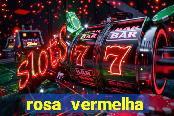 rosa vermelha (letra e cifra)