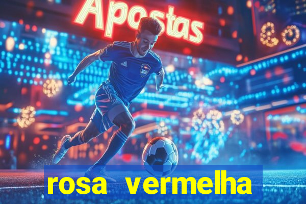 rosa vermelha (letra e cifra)