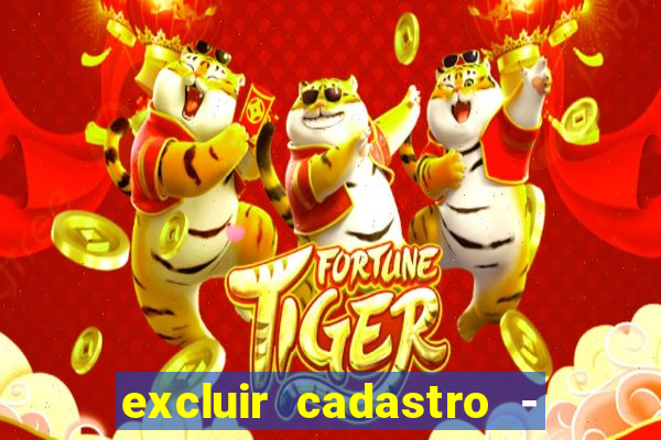 excluir cadastro - casas bahia