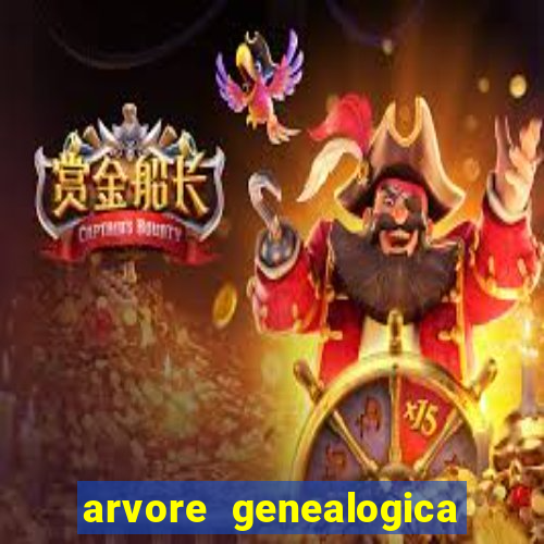arvore genealogica dos gracie