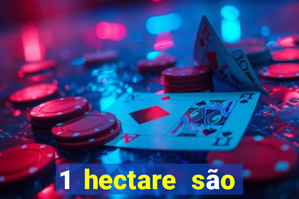 1 hectare são quantas tarefas na bahia