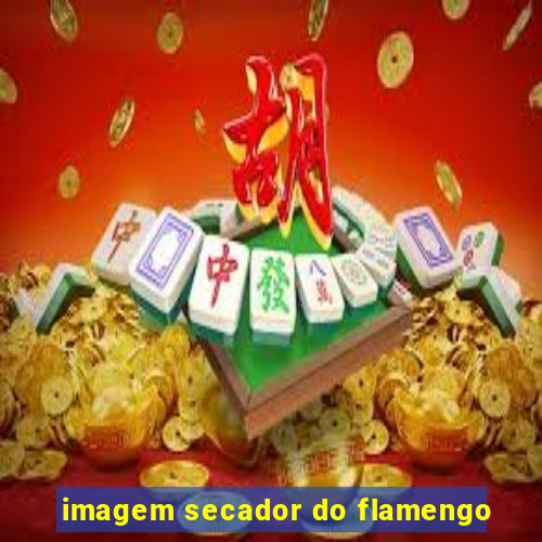 imagem secador do flamengo