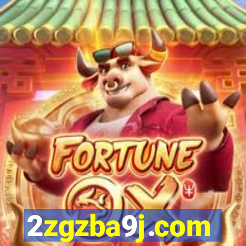2zgzba9j.com
