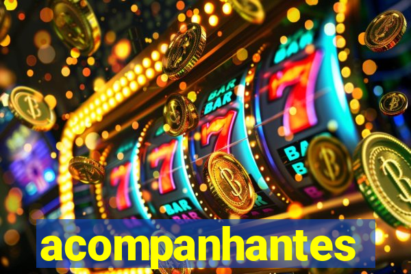 acompanhantes chamada de video