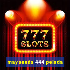 mayseeds 444 pelada