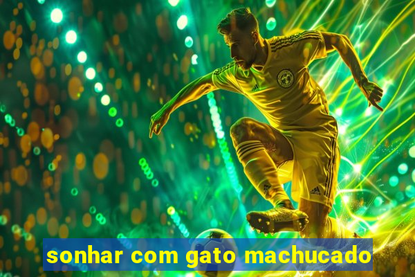 sonhar com gato machucado