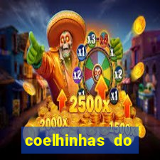 coelhinhas do brasil site