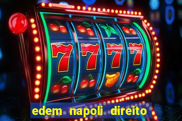 edem napoli direito constitucional pdf