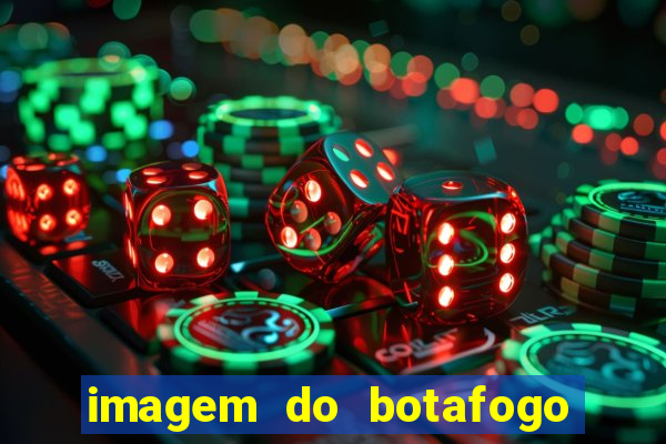 imagem do botafogo zuando o palmeiras