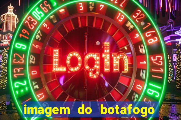 imagem do botafogo zuando o palmeiras