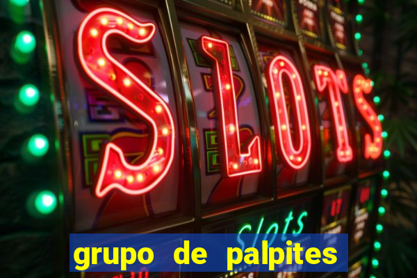 grupo de palpites de futebol whatsapp