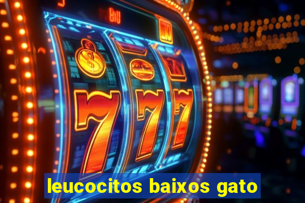 leucocitos baixos gato