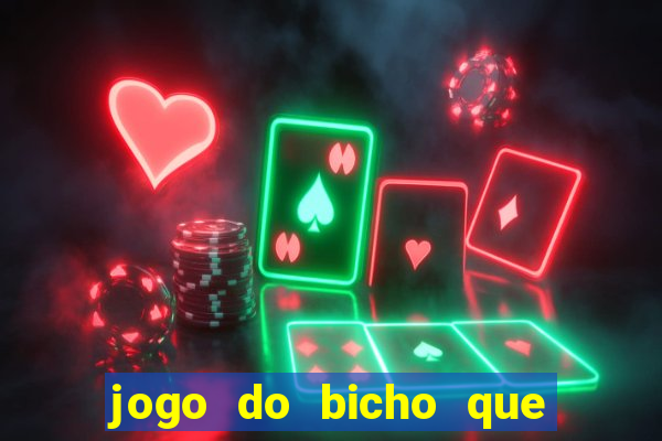 jogo do bicho que paga no pix